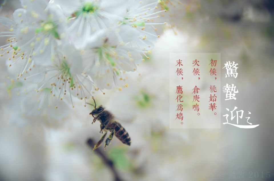 驚蟄吃這5種蔬菜，養(yǎng)生排毒效果佳