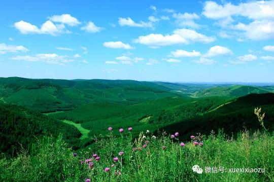 習(xí)總牽掛的塞罕壩，你去過嗎？小組剛?cè)ミ^！