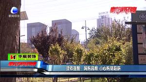 “雙十一”優(yōu)惠來(lái)襲 市民態(tài)度不一