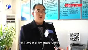 “扶貧鵝”助殘脫困（一）：政府免費發(fā)放鵝雛 助殘疾人自力更生增收