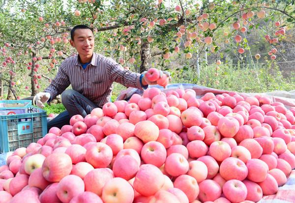 河北5家企業(yè)躋身第三批國家林業(yè)重點(diǎn)龍頭企業(yè)