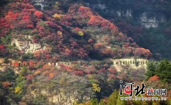 駝梁、大海陀自然保護(hù)區(qū)建設(shè)項目獲準(zhǔn)立項