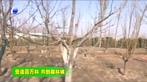 香河縣今春計(jì)劃造林11.2萬(wàn)畝 打造綠色生態(tài)家園