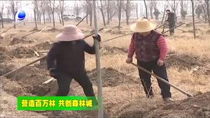 我市各地開展春季植樹造林活動(dòng)