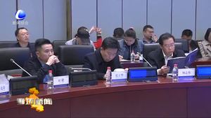 中國（廊坊）智能汽車高峰論壇暨中德產(chǎn)業(yè)合作峰會舉行