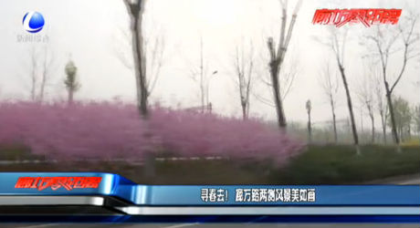 尋春去！廊萬路兩側(cè)風景美如畫