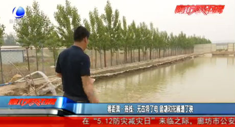 零距離熱線：無(wú)故停了電 魚塘和花圃遭了秧