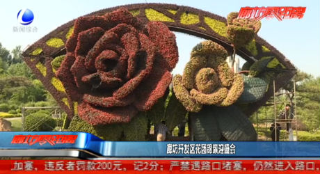 廊坊開發(fā)區(qū)花團(tuán)錦簇迎盛會(huì)