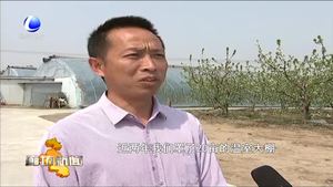 香河縣安平鎮(zhèn)休閑觀光農(nóng)業(yè)打造農(nóng)村新經(jīng)濟(jì)增長(zhǎng)極