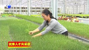 鄭維超：帶領群眾共同致富的女能手
