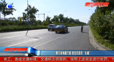 鮮花錦繡廊萬(wàn)路 昔日荒郊變“彩廊”