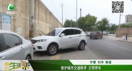 維護城市交通秩序 文明停車