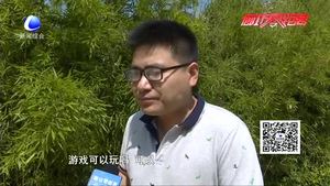 沉迷手機(jī)的孩子 內(nèi)心快樂嗎？