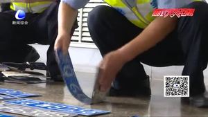 交警二大隊(duì)集中銷毀1800余副假牌照 假牌套牌交通違法無處遁形