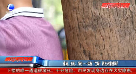 撞樹、拍打、辟谷......這些“土味”養(yǎng)生法靠譜嗎？