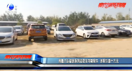 刑警大隊(duì)破獲系列盜竊車內(nèi)案件 涉案價值十萬元