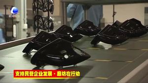 香河新興產(chǎn)業(yè)示范區(qū)精準(zhǔn)發(fā)力推進民營經(jīng)濟高質(zhì)量發(fā)展