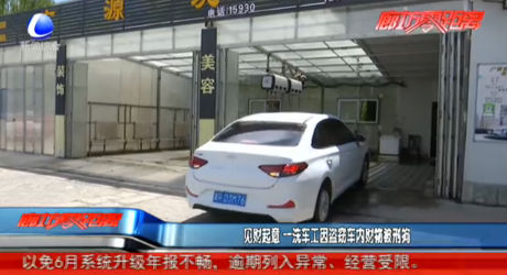 見(jiàn)財(cái)起意 一洗車(chē)工因盜竊車(chē)內(nèi)財(cái)物被刑拘