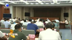 中國（河北）自由貿易試驗區(qū)大型機場片區(qū)廊坊推進工作領導小組召開第一次會議