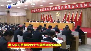 三河市委召開六屆五次全會學習貫徹黨的十九屆四中全會省委九屆九次全會和市委六屆八次全會精神