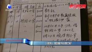 【百姓學(xué)法】微信借款 有法律效力嗎？