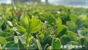廊坊好生活，讓你的生活有滋有味