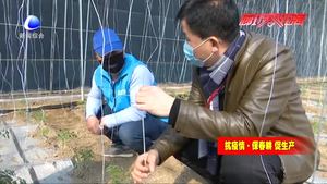 疫情防控不誤春耕 技術(shù)員進村下鄉(xiāng)解難題