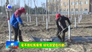 我市各地?fù)屪ゴ杭居欣麜r節(jié) 植樹造林美化家園