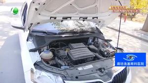 柳絮飄飛季 如何減少柳絮對(duì)汽車(chē)的影響