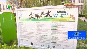 創(chuàng)城，我們一起：專項(xiàng)整治在行動(dòng) 引導(dǎo)市民依法文明養(yǎng)犬