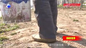 路貴?。河媚_步丈量土地 用汗水守護碧水