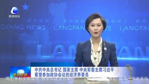 中共中央總書記 國家主席 中央軍委主席習近平看望參加政協(xié)會議的經(jīng)濟界委會