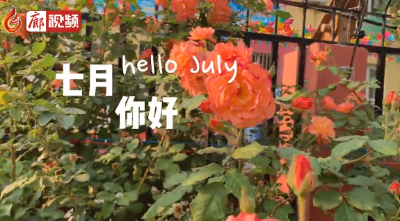 廊視頻 | 六月再見，七月你好