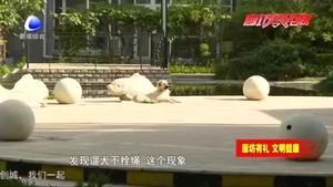 我市開展“文明養(yǎng)犬、愛護(hù)環(huán)境”行動(dòng)  加強(qiáng)養(yǎng)犬管理提升城市形象