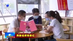 維信諾（固安）科技有限公司：創(chuàng)新驅(qū)動發(fā)展 黨旗引領(lǐng)航向