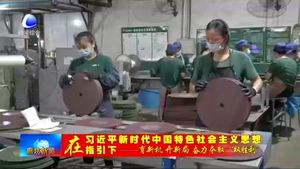 盛森磨具有限公司：化危為機(jī) 助推企業(yè)逆勢上揚(yáng)