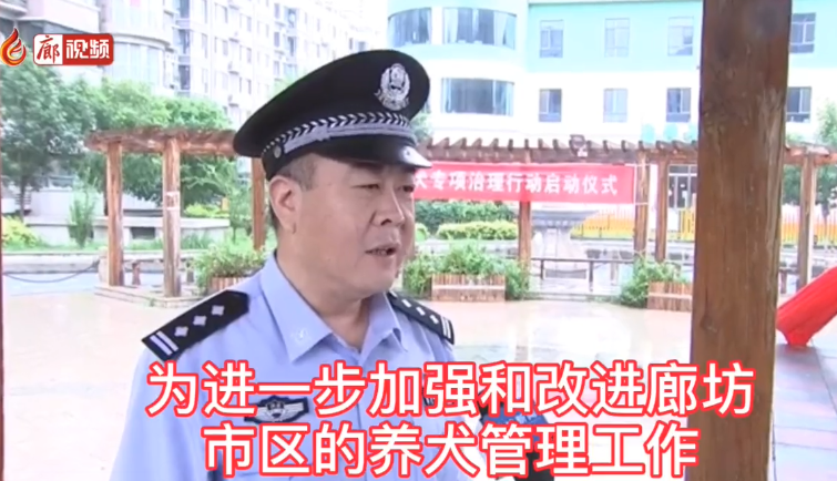 廊視頻 | 廊坊市公安局開(kāi)展違規(guī)養(yǎng)犬專項(xiàng)治理行動(dòng)
