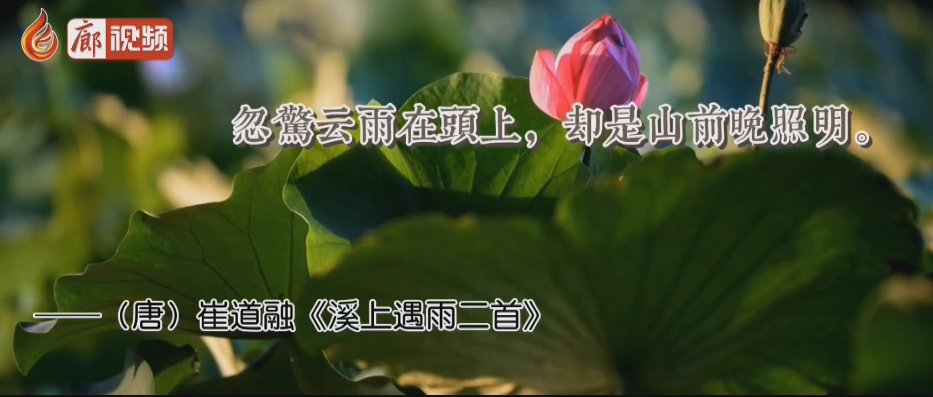 廊視頻 | 大暑來(lái)了你知道那些與大暑有關(guān)的古詩(shī)詞嗎
