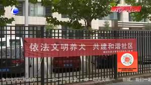 市民說(shuō)創(chuàng)城：文明養(yǎng)犬 從我做起 從點(diǎn)滴做起