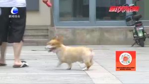 【創(chuàng)城好故事】出租車駕駛員有了“愛(ài)心驛站”
