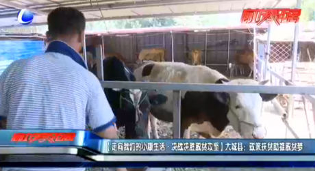 【走向我們的小康生活·決戰(zhàn)決勝脫貧攻堅(jiān)】大城縣：政策扶貧助推脫貧夢
