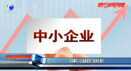 《保障中小企業(yè)款項(xiàng)支付條例》施行