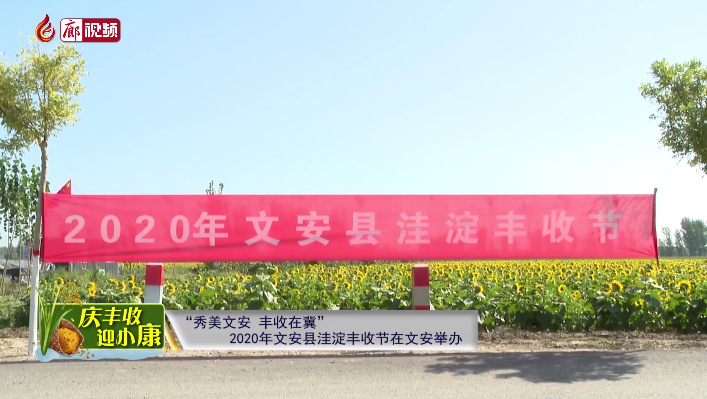  廊視頻 | “慶豐收迎小康”——“秀美文安，豐收在冀”2020年文安縣洼淀豐
