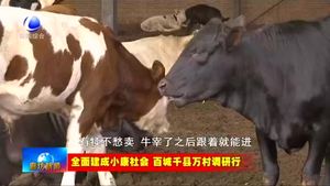 香河縣香椿營(yíng)村：打造少數(shù)民族特色村寨 助力鄉(xiāng)村振興
