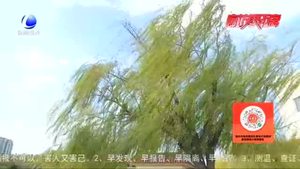 雨后的廊坊 真美！
