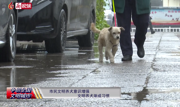  廊視頻 | 市民文明養(yǎng)犬意識增強(qiáng)文明養(yǎng)犬漸成習(xí)慣