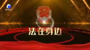 【法在身邊】瞞報(bào) 謊報(bào)疫情 要付出怎樣的代價(jià)？