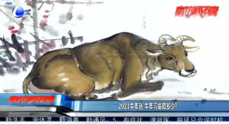 2021牛年到 牛年習(xí)俗知多少？