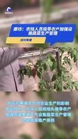 應對寒潮：農技人員指導農戶加強設施蔬菜生產管理