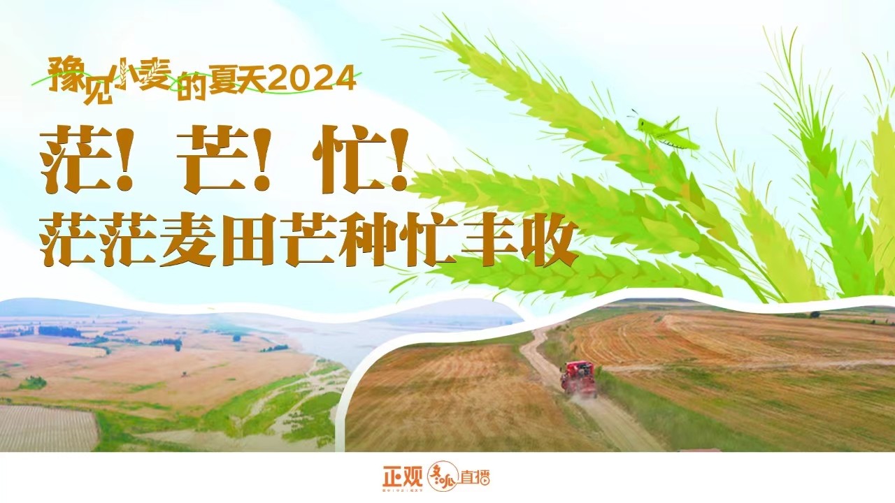 豫見(jiàn)小麥的夏天2024 | 茫！芒！忙！茫茫麥田芒種忙豐收！